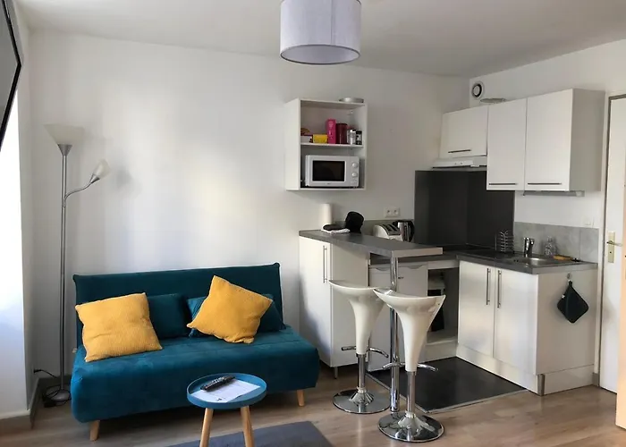 Chaleureux Appartement En Centre Ville De Poitiers