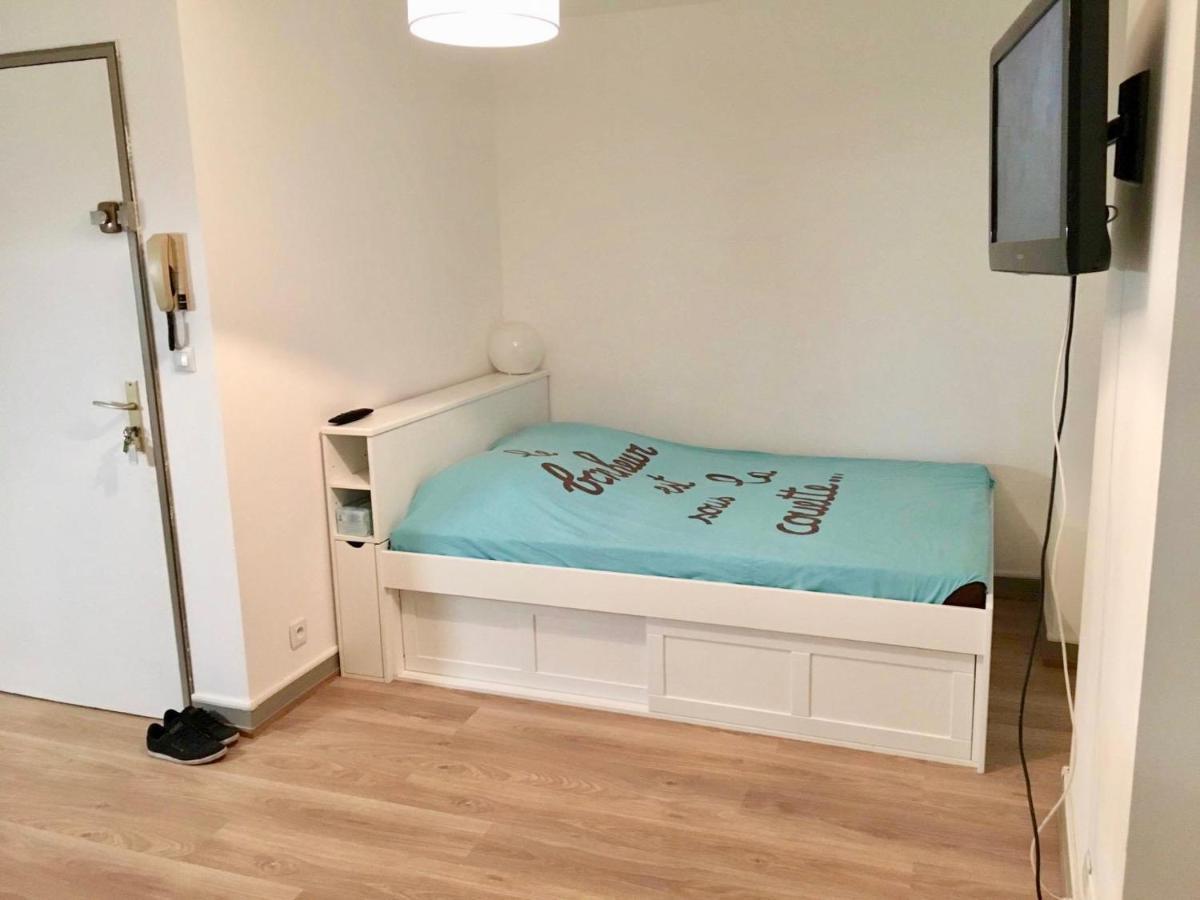 Chaleureux En Centre De Poitiers